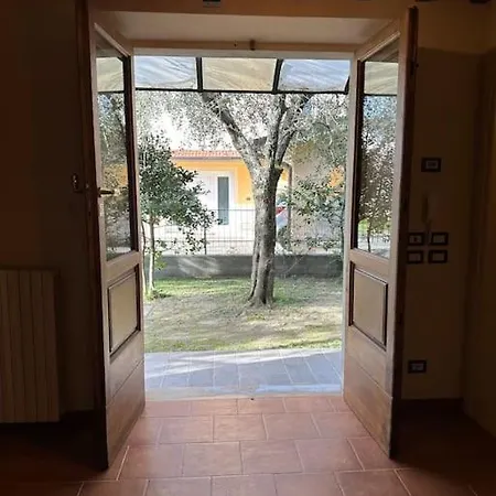 Arancio B Lucca